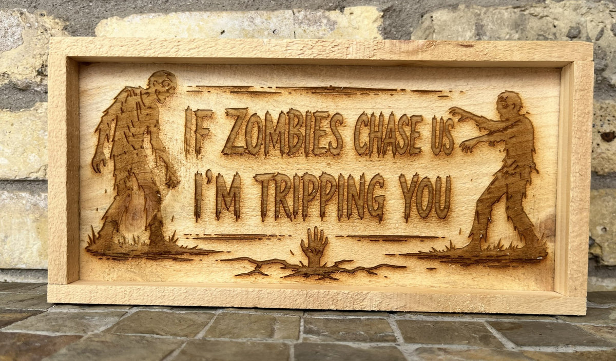 6a9a29805698eb1ed2e3e5dd_if-zombies-are-chasing-us_1790215220236.jpg