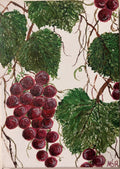 6a9a29805698eb1ed2e3e5dd_img-4074_1789644040007.jpeg